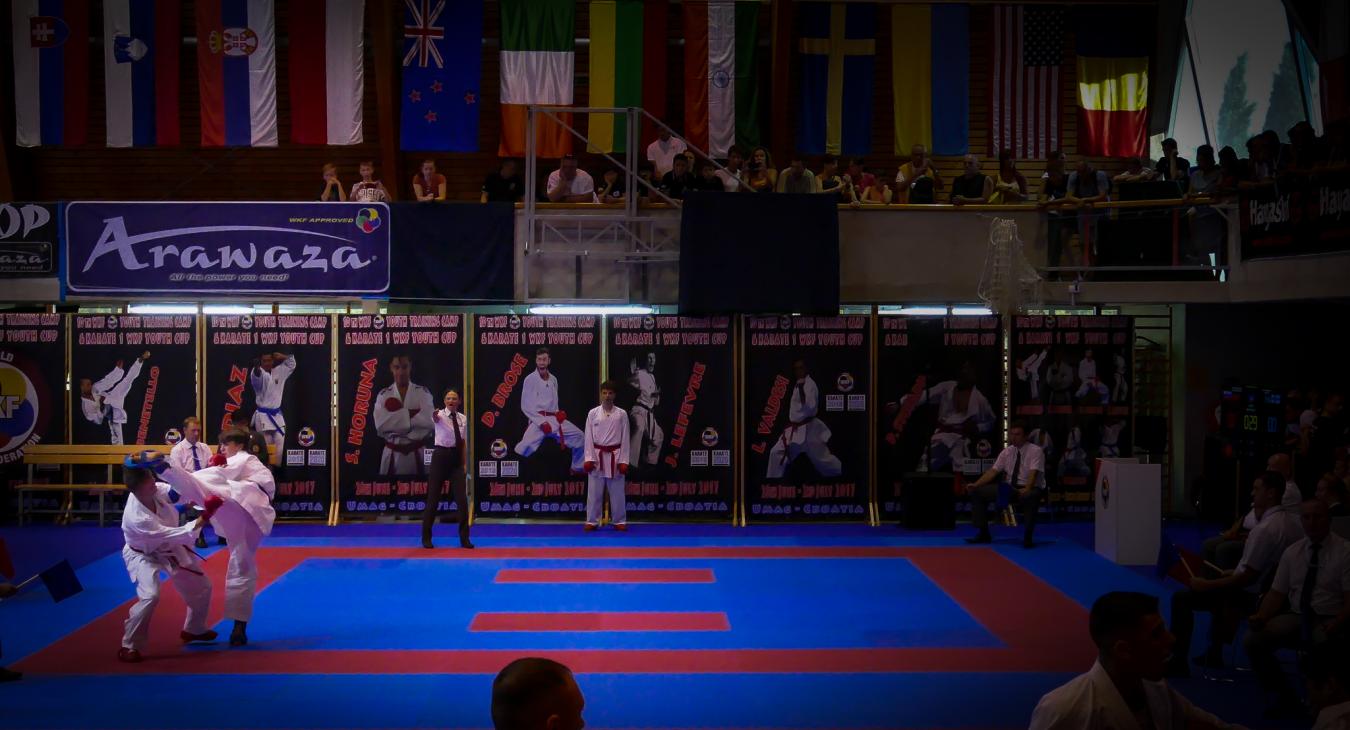 Kroatia 2017, Maximiliam Ollila