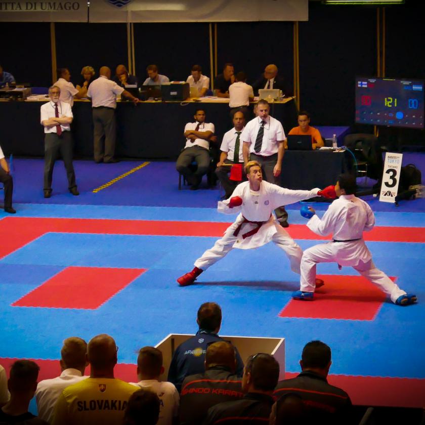 Kroatia 2017, Niko Mantere